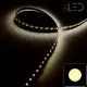 Strip IP68 3528 60 LED/m Blanc - 4,8W/m