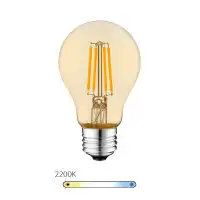 Ampoule LED à filament - Ambrée – 6W - E27 - Dimmable - A60