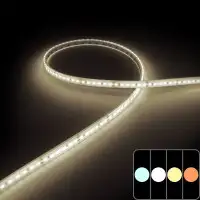 Ruban LED haute fidélité - 9,6W/m - IP68 - Blanc - 120 LED/m - 2835+ - 5m - 24V
