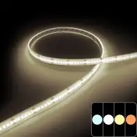 Ruban LED haute fidélité - 14,4W/m - IP68 - Blanc - 180 LED/m - 2835+ - 5m - 24V