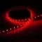 Ruban IP20 2835+ - Rouge - 4,8W/m - 60 LED/m - 5m