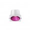 Collerette couleurs pour Spot 7W - Miror