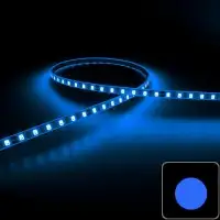Mini ruban LED 5,5mm de large - 4,8W/m - IP65 - Bleu - 120 LED/m - 2835E - 5m - 24V