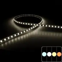 Ruban LED XXL 50 mètres - 8W/m - IP65 - Blanc - 120 LED/m - 2835+ - 48V