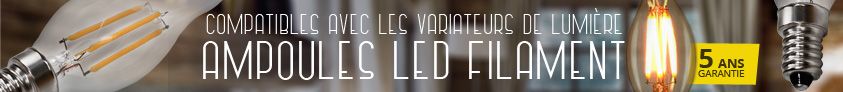 ampoule led filament e14 vintage france